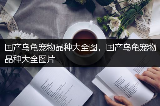 国产乌龟宠物品种大全图，国产乌龟宠物品种大全图片