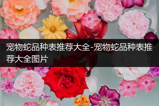 宠物蛇品种表推荐大全-宠物蛇品种表推荐大全图片