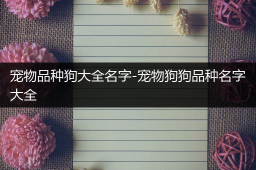 宠物品种狗大全名字-宠物狗狗品种名字大全