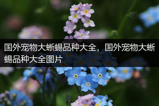 国外宠物大蜥蜴品种大全，国外宠物大蜥蜴品种大全图片