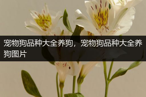 宠物狗品种大全养狗，宠物狗品种大全养狗图片