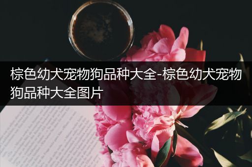 棕色幼犬宠物狗品种大全-棕色幼犬宠物狗品种大全图片