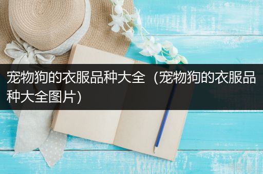 宠物狗的衣服品种大全（宠物狗的衣服品种大全图片）