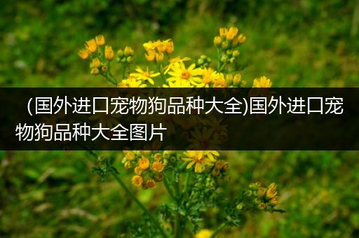 （国外进口宠物狗品种大全)国外进口宠物狗品种大全图片