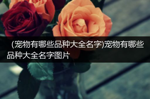 （宠物有哪些品种大全名字)宠物有哪些品种大全名字图片