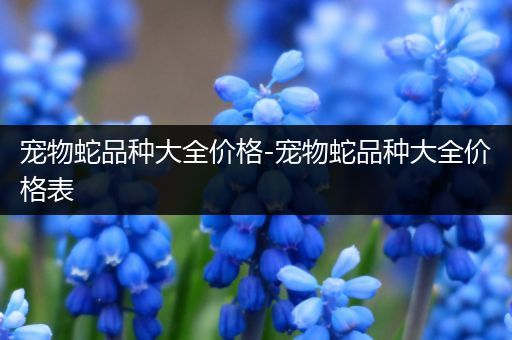 宠物蛇品种大全价格-宠物蛇品种大全价格表
