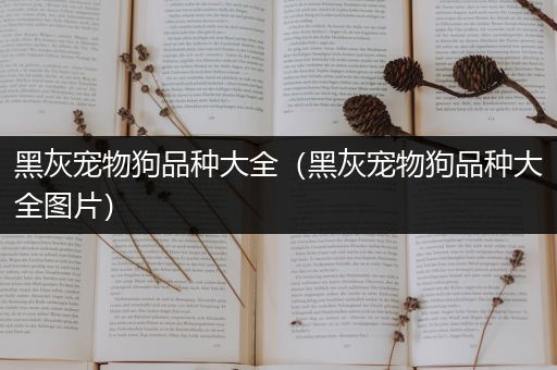 黑灰宠物狗品种大全（黑灰宠物狗品种大全图片）