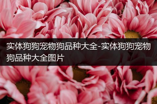 实体狗狗宠物狗品种大全-实体狗狗宠物狗品种大全图片