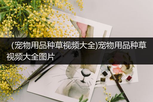 （宠物用品种草视频大全)宠物用品种草视频大全图片