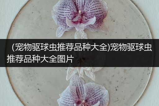 （宠物驱球虫推荐品种大全)宠物驱球虫推荐品种大全图片