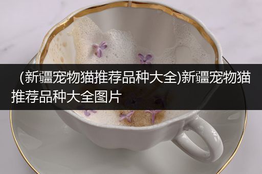 （新疆宠物猫推荐品种大全)新疆宠物猫推荐品种大全图片