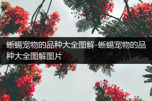 蜥蜴宠物的品种大全图解-蜥蜴宠物的品种大全图解图片