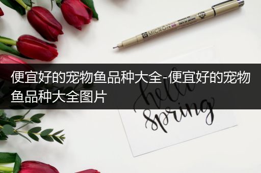 便宜好的宠物鱼品种大全-便宜好的宠物鱼品种大全图片