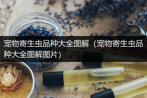 宠物寄生虫品种大全图解（宠物寄生虫品种大全图解图片）