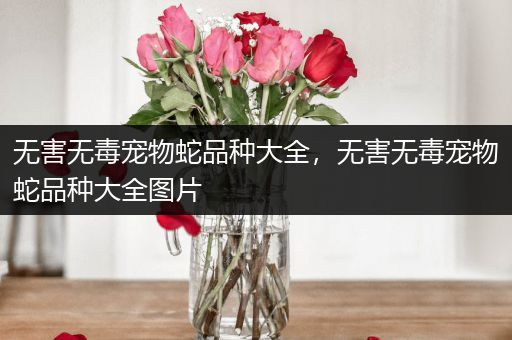 无害无毒宠物蛇品种大全，无害无毒宠物蛇品种大全图片