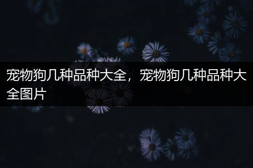 宠物狗几种品种大全，宠物狗几种品种大全图片