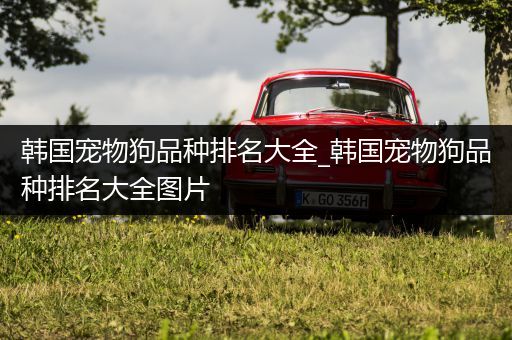 韩国宠物狗品种排名大全_韩国宠物狗品种排名大全图片