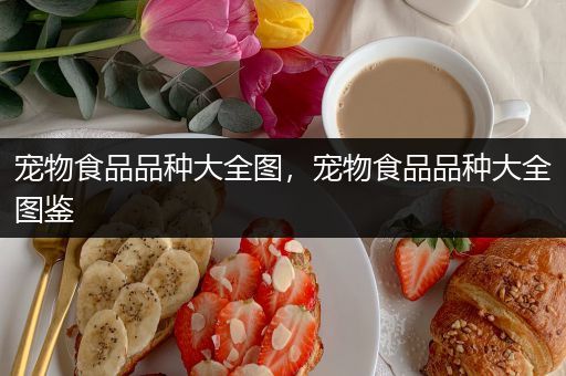 宠物食品品种大全图，宠物食品品种大全图鉴