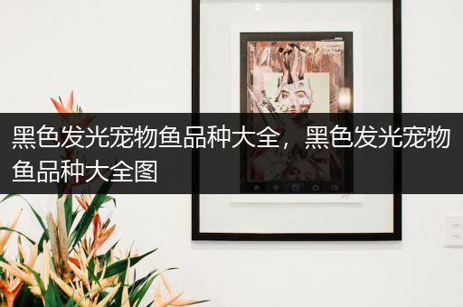 黑色发光宠物鱼品种大全，黑色发光宠物鱼品种大全图