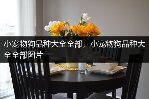 小宠物狗品种大全全部，小宠物狗品种大全全部图片