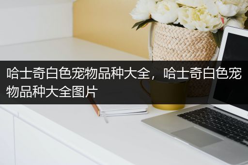 哈士奇白色宠物品种大全，哈士奇白色宠物品种大全图片