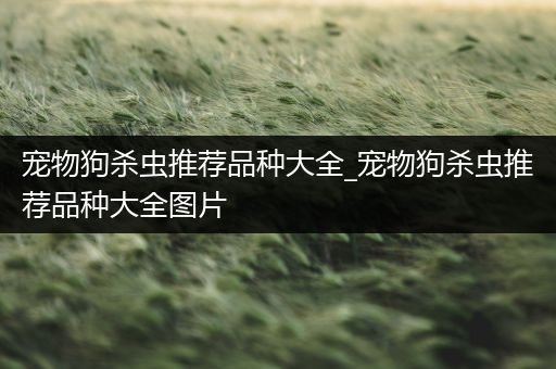 宠物狗杀虫推荐品种大全_宠物狗杀虫推荐品种大全图片