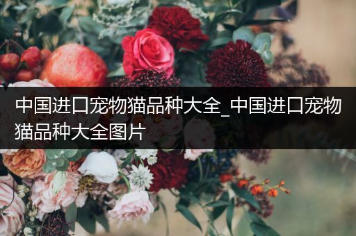 中国进口宠物猫品种大全_中国进口宠物猫品种大全图片
