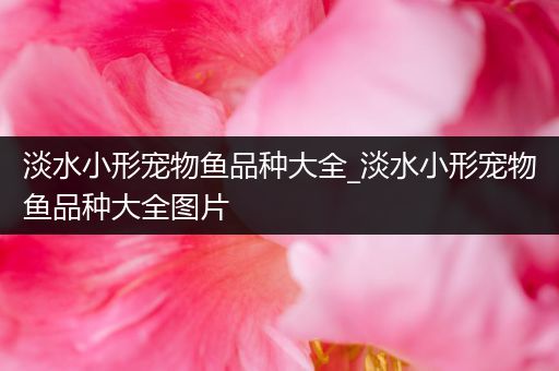 淡水小形宠物鱼品种大全_淡水小形宠物鱼品种大全图片