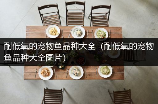耐低氧的宠物鱼品种大全（耐低氧的宠物鱼品种大全图片）