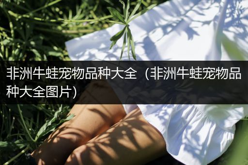 非洲牛蛙宠物品种大全（非洲牛蛙宠物品种大全图片）