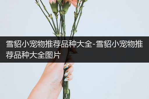 雪貂小宠物推荐品种大全-雪貂小宠物推荐品种大全图片