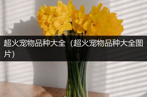 超火宠物品种大全（超火宠物品种大全图片）