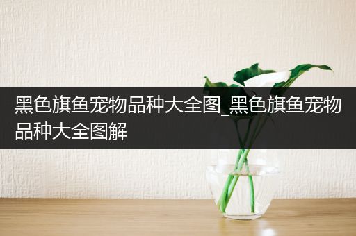 黑色旗鱼宠物品种大全图_黑色旗鱼宠物品种大全图解