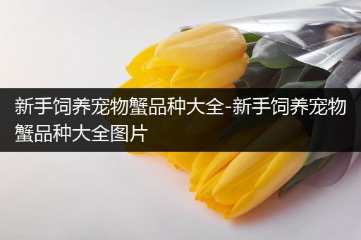 新手饲养宠物蟹品种大全-新手饲养宠物蟹品种大全图片