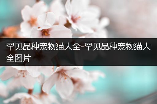 罕见品种宠物猫大全-罕见品种宠物猫大全图片