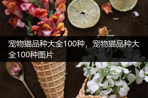 宠物猫品种大全100种，宠物猫品种大全100种图片