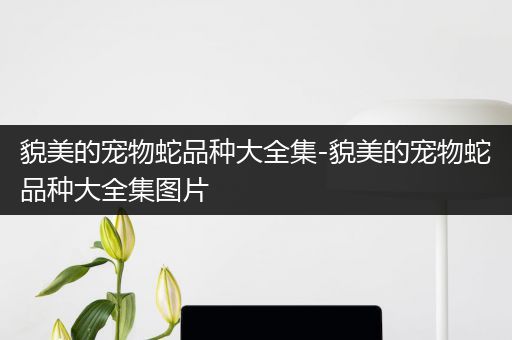 貌美的宠物蛇品种大全集-貌美的宠物蛇品种大全集图片