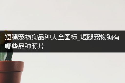 短腿宠物狗品种大全图标_短腿宠物狗有哪些品种照片