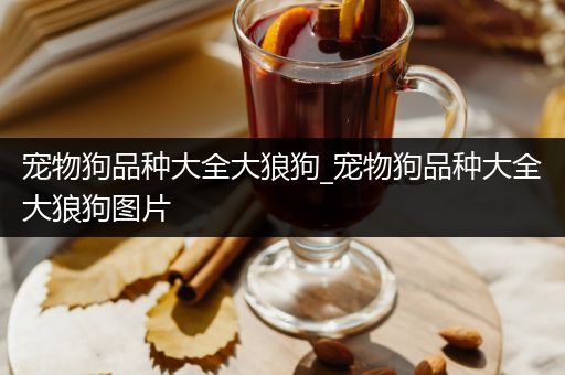 宠物狗品种大全大狼狗_宠物狗品种大全大狼狗图片