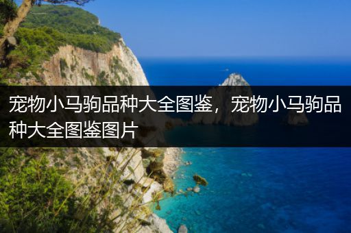 宠物小马驹品种大全图鉴，宠物小马驹品种大全图鉴图片