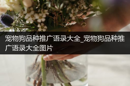 宠物狗品种推广语录大全_宠物狗品种推广语录大全图片