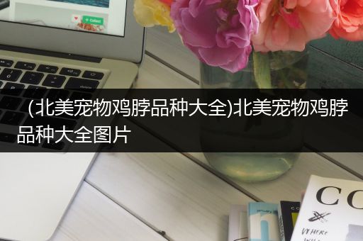 （北美宠物鸡脖品种大全)北美宠物鸡脖品种大全图片