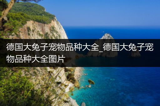 德国大兔子宠物品种大全_德国大兔子宠物品种大全图片