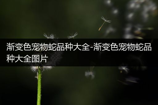 渐变色宠物蛇品种大全-渐变色宠物蛇品种大全图片