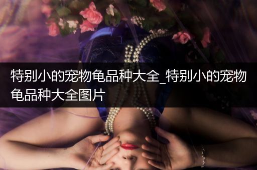 特别小的宠物龟品种大全_特别小的宠物龟品种大全图片