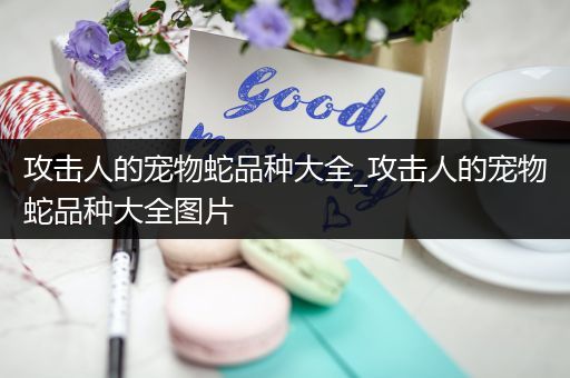 攻击人的宠物蛇品种大全_攻击人的宠物蛇品种大全图片