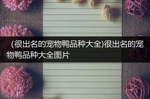 （很出名的宠物鸭品种大全)很出名的宠物鸭品种大全图片