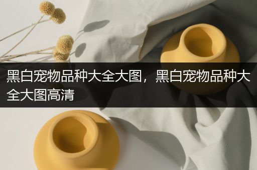 黑白宠物品种大全大图，黑白宠物品种大全大图高清