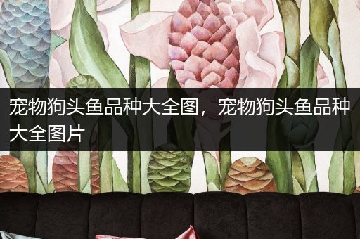 宠物狗头鱼品种大全图，宠物狗头鱼品种大全图片