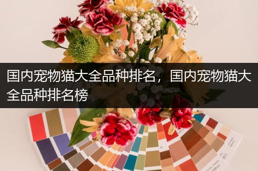 国内宠物猫大全品种排名，国内宠物猫大全品种排名榜